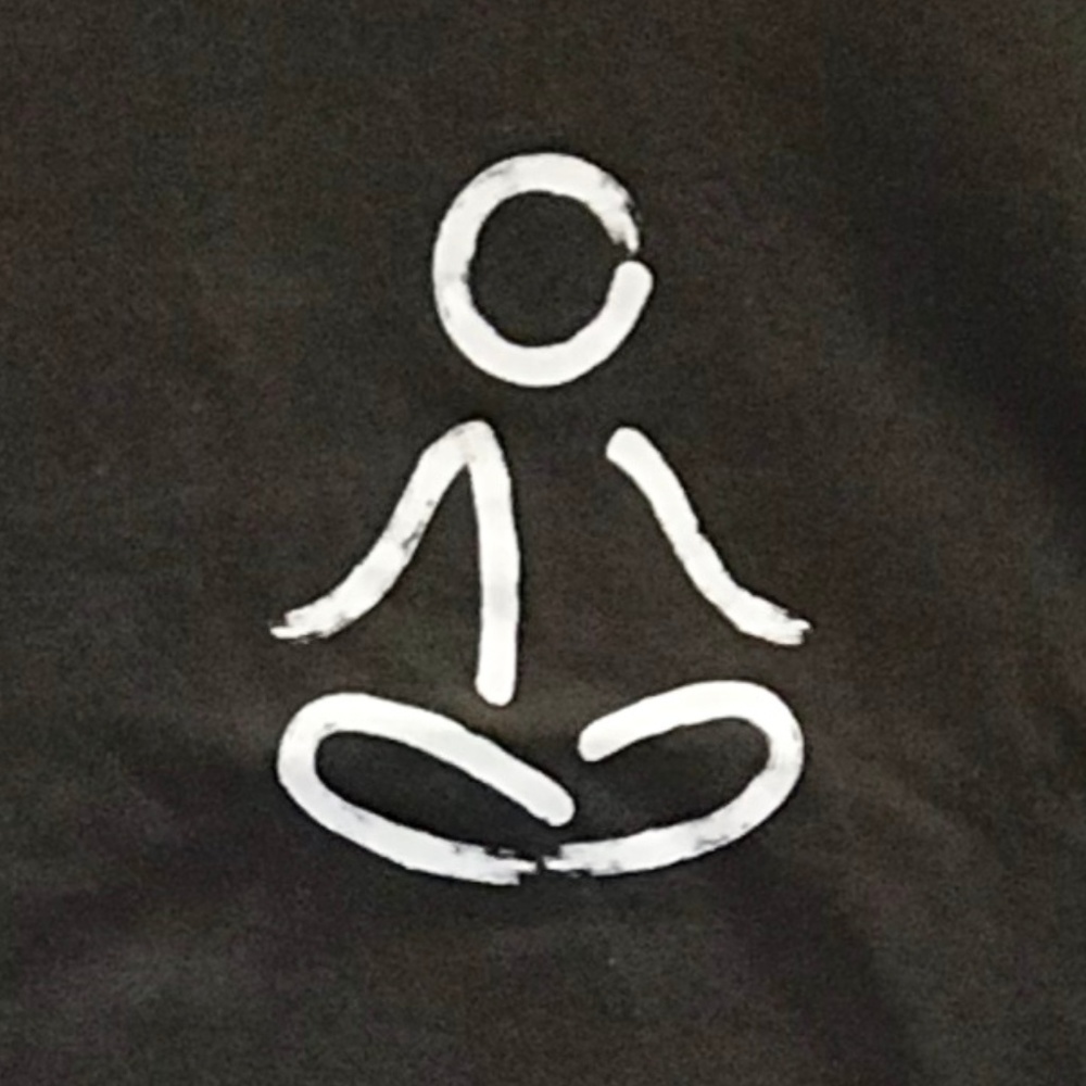 NWOT Graphic Tee T-Shirt Mens Yoga Lotus Asana Meditation OM Brown Gildan